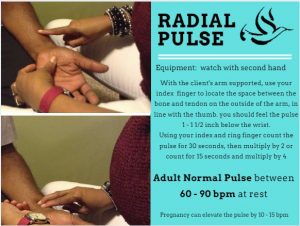 radial-pulse